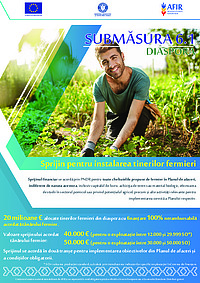 Ghid Submăsura 6.1 Diaspora