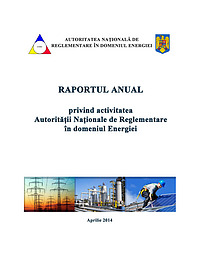 raport ANRE 2013